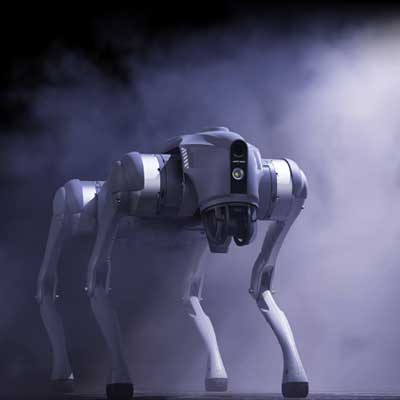 Our Customers and Services-05